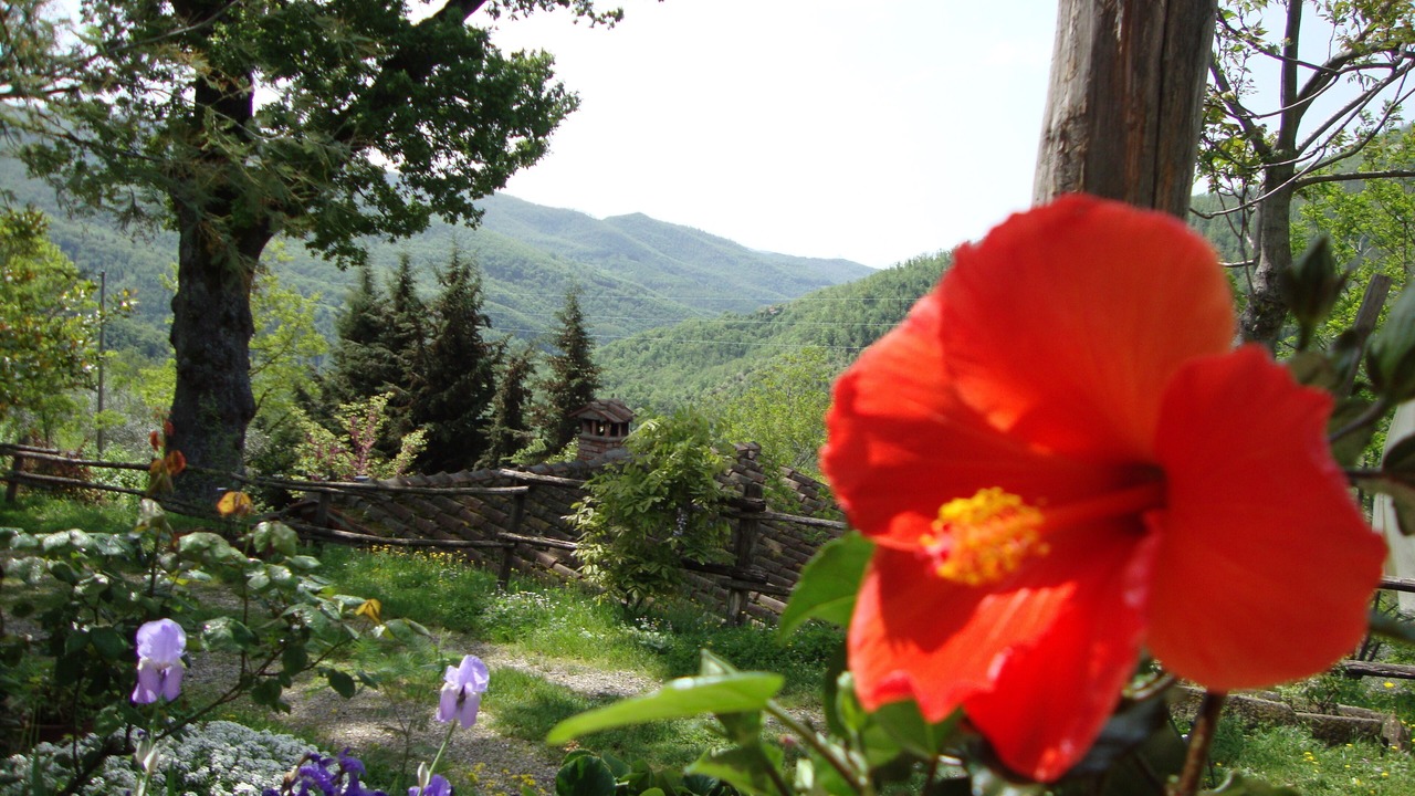 Photo of Outdoor in San Godenzo