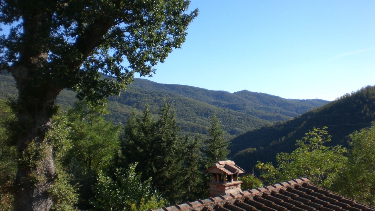 Photo of Others in San Godenzo
