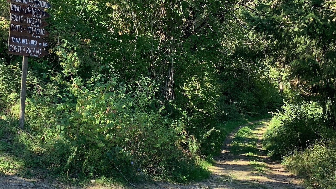Photo of Outdoor in Caiano
