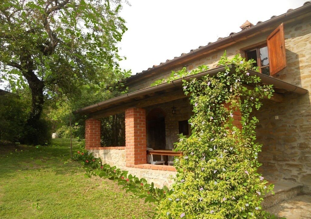 Photo of Outdoor in Castel Focognano