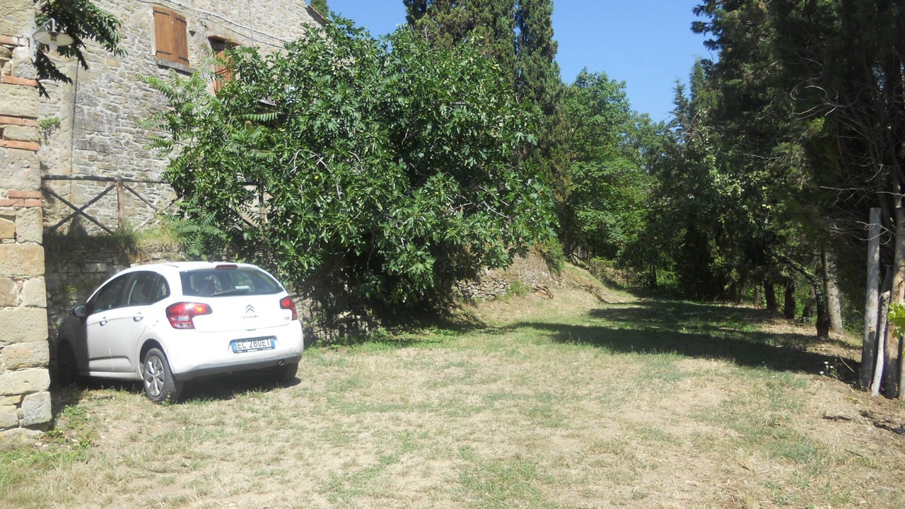 Photo of Outdoor in Castel Focognano