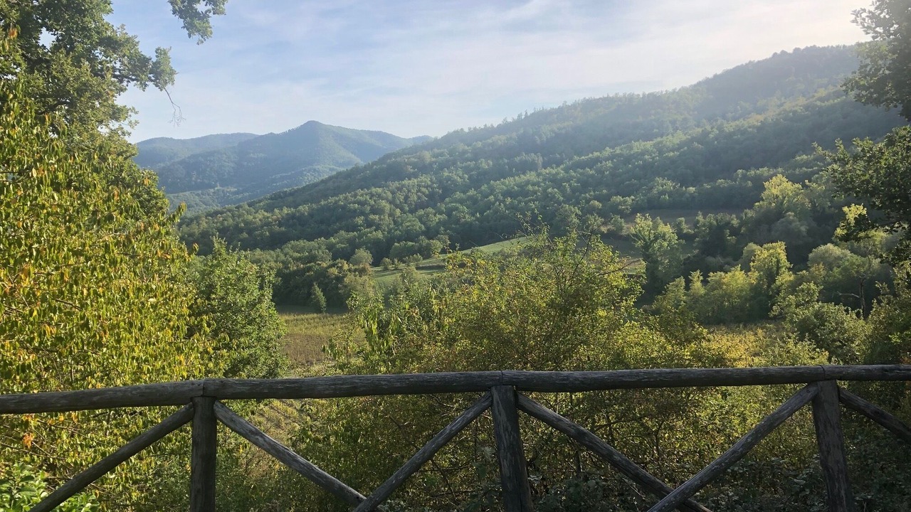 Photo of Outdoor in Castel Focognano