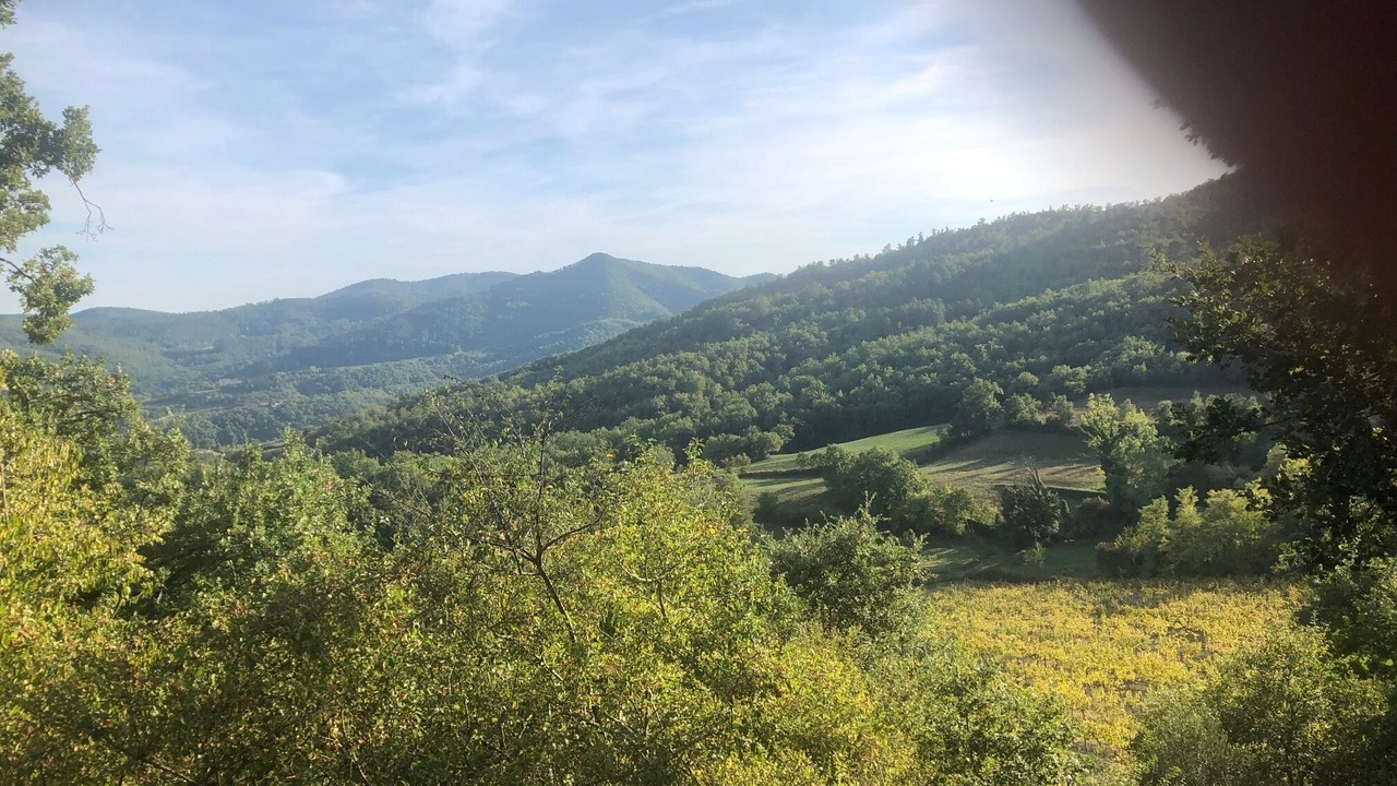 Photo of Outdoor in Castel Focognano