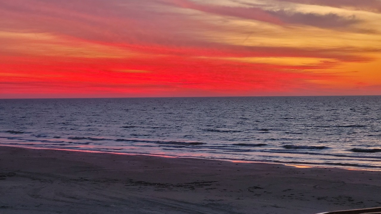 Photo of Others in Indian Beach