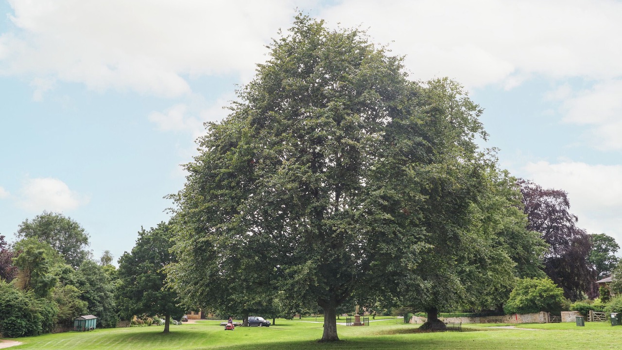 Photo of Outdoor in Whichford