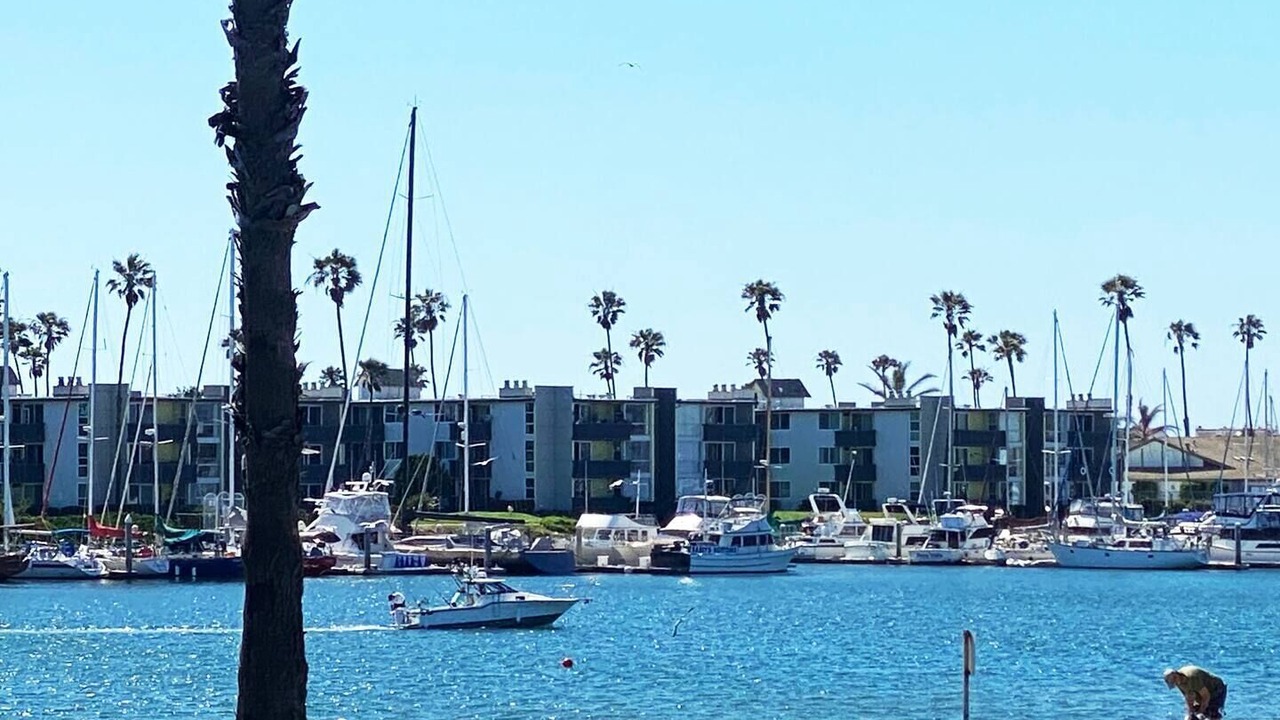 Photo of Others in Channel Islands