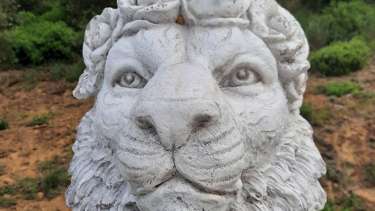 Photo of Outdoor in Riparbella