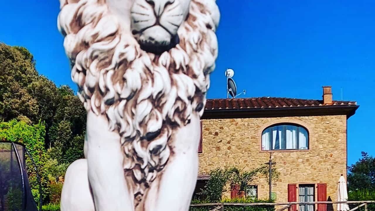 Photo of Outdoor in Riparbella
