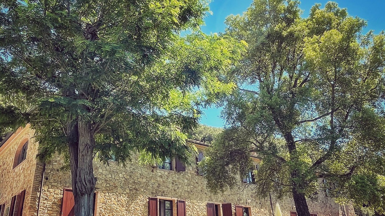 Photo of Outdoor in Riparbella