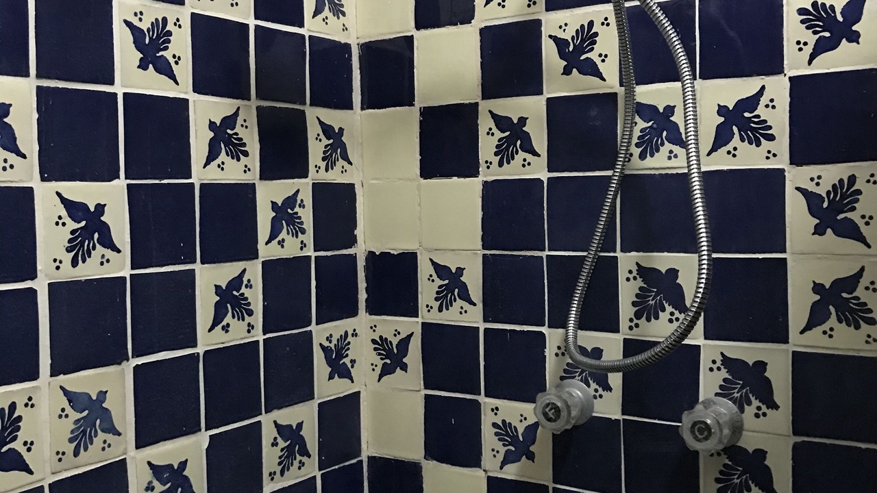 Photo of Bathroom in Bucerias