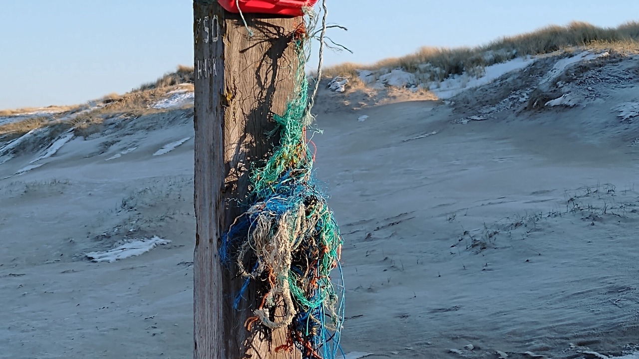 Photo of Others in Egmond aan Zee