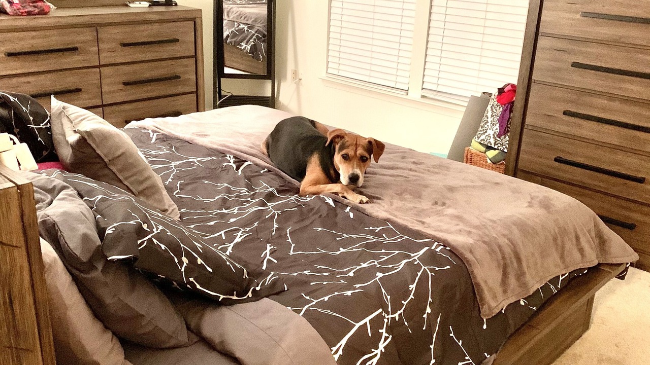 Photo of Bedroom in Savage-Guilford