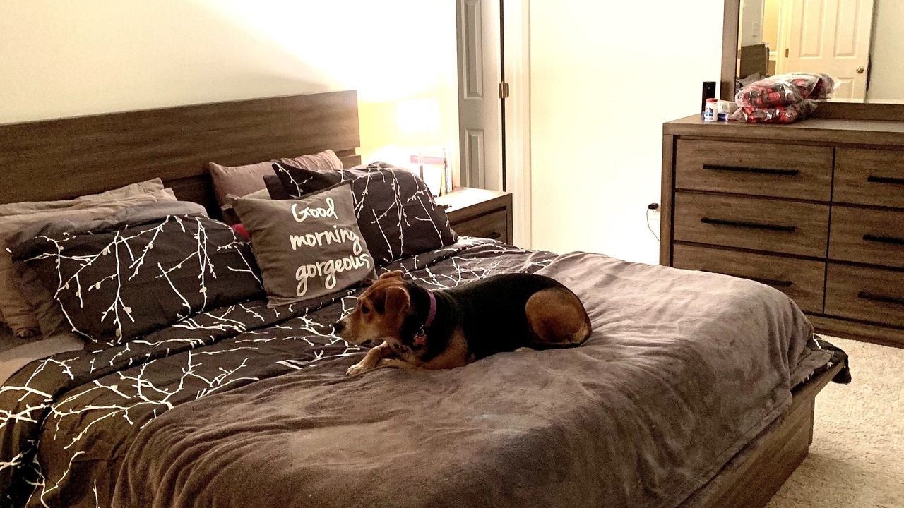 Photo of Bedroom in Savage-Guilford