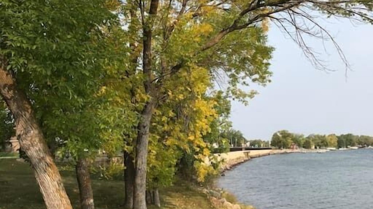 Photo of Others in Battle Lake