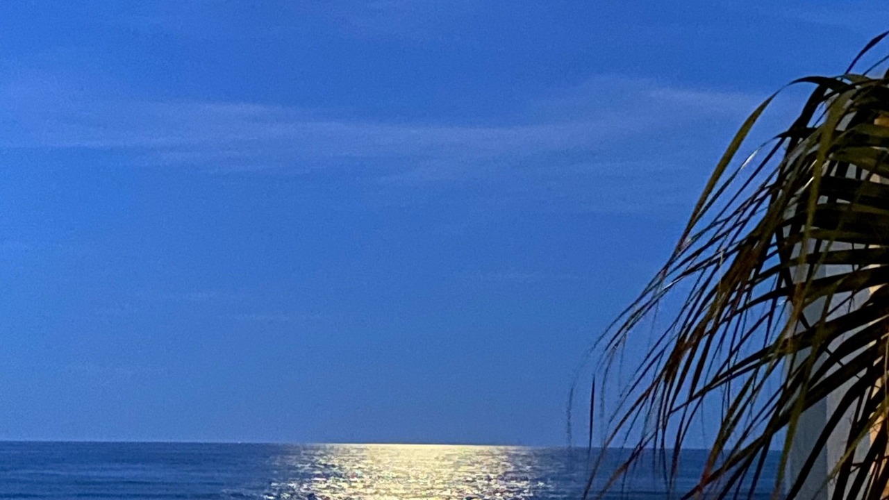 Photo of Others in New Smyrna Beach