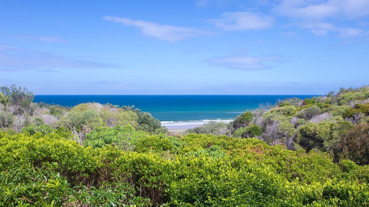 Photo of Others in Sunshine Beach