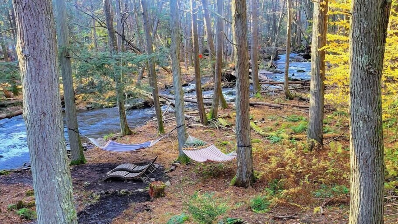 Photo of Others in East Stroudsburg