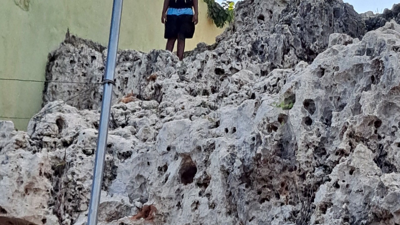 Photo of Others in Porus