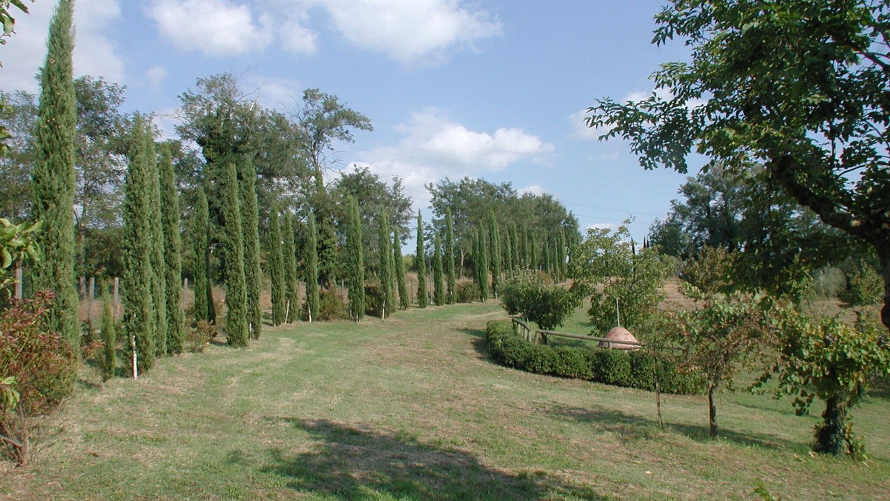 Photo of Outdoor in Barberino di Mugello