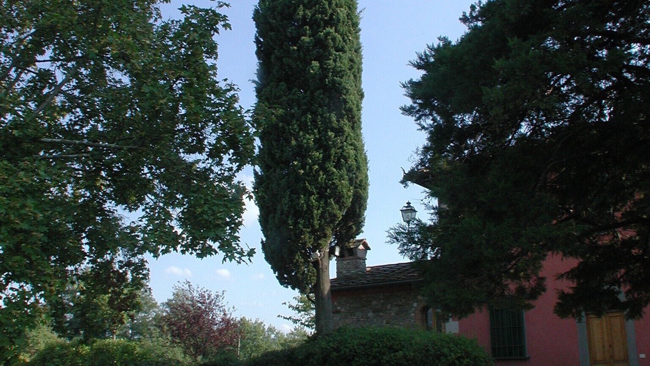 Photo of Outdoor in Barberino di Mugello