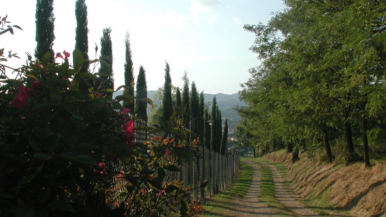 Photo of Outdoor in Barberino di Mugello