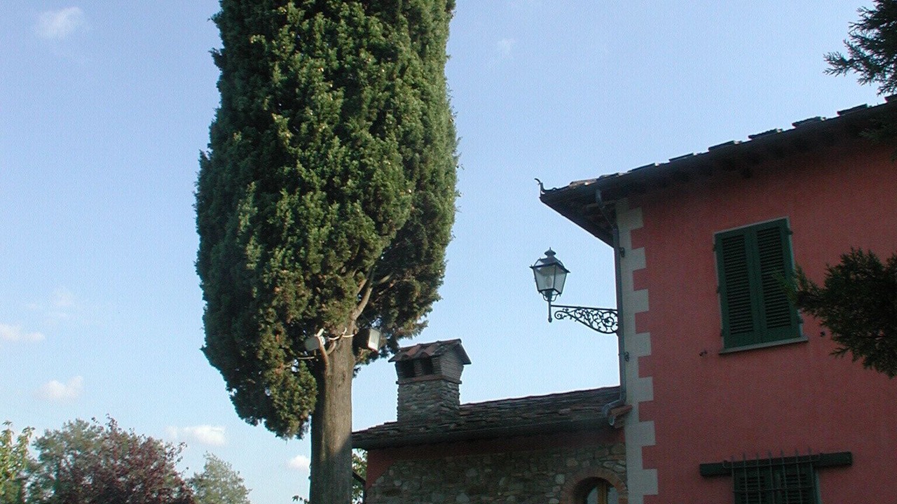 Photo of Outdoor in Barberino di Mugello
