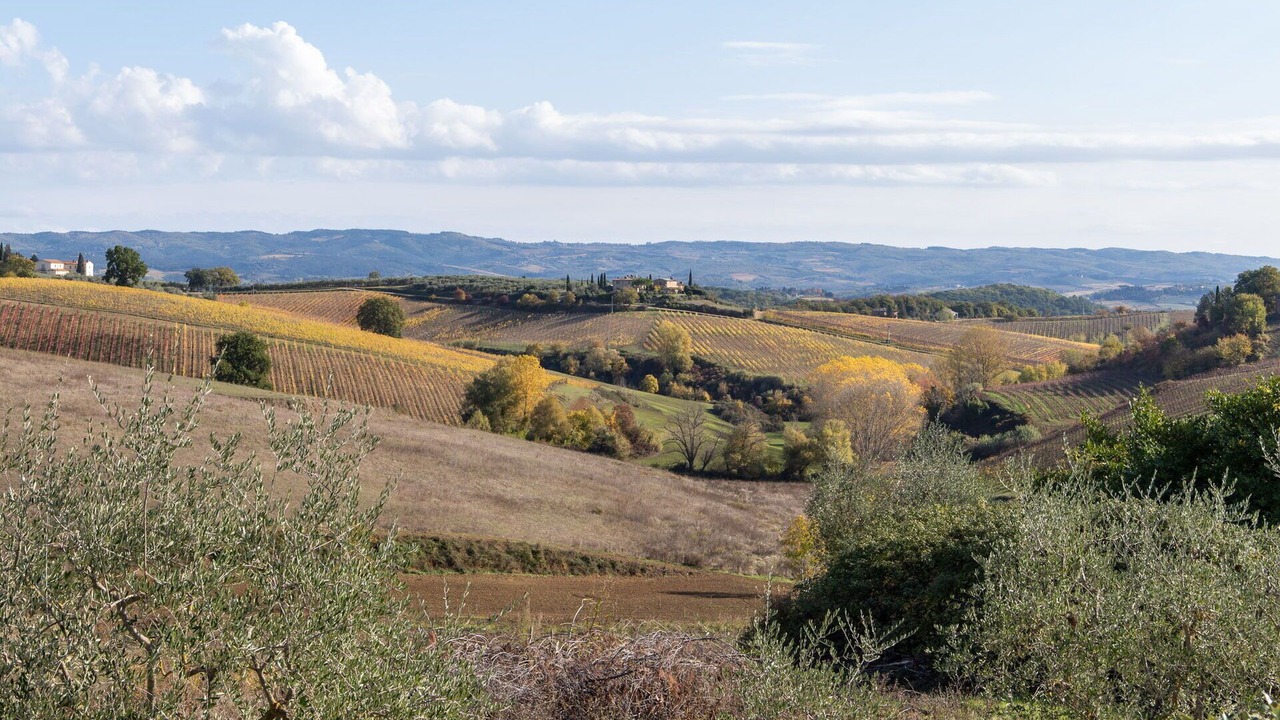 Photo of Others in Poggiarello