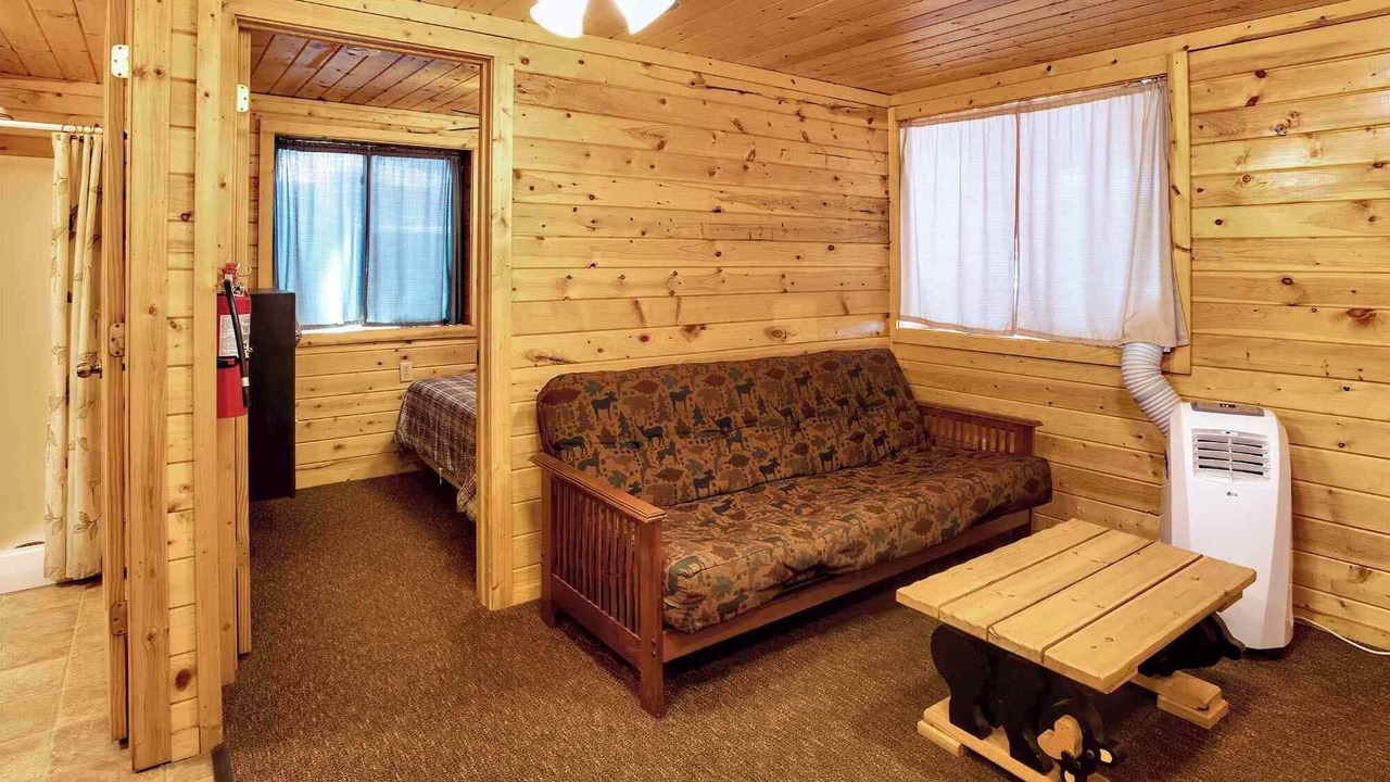 Photo of Livingroom in Buffalo City