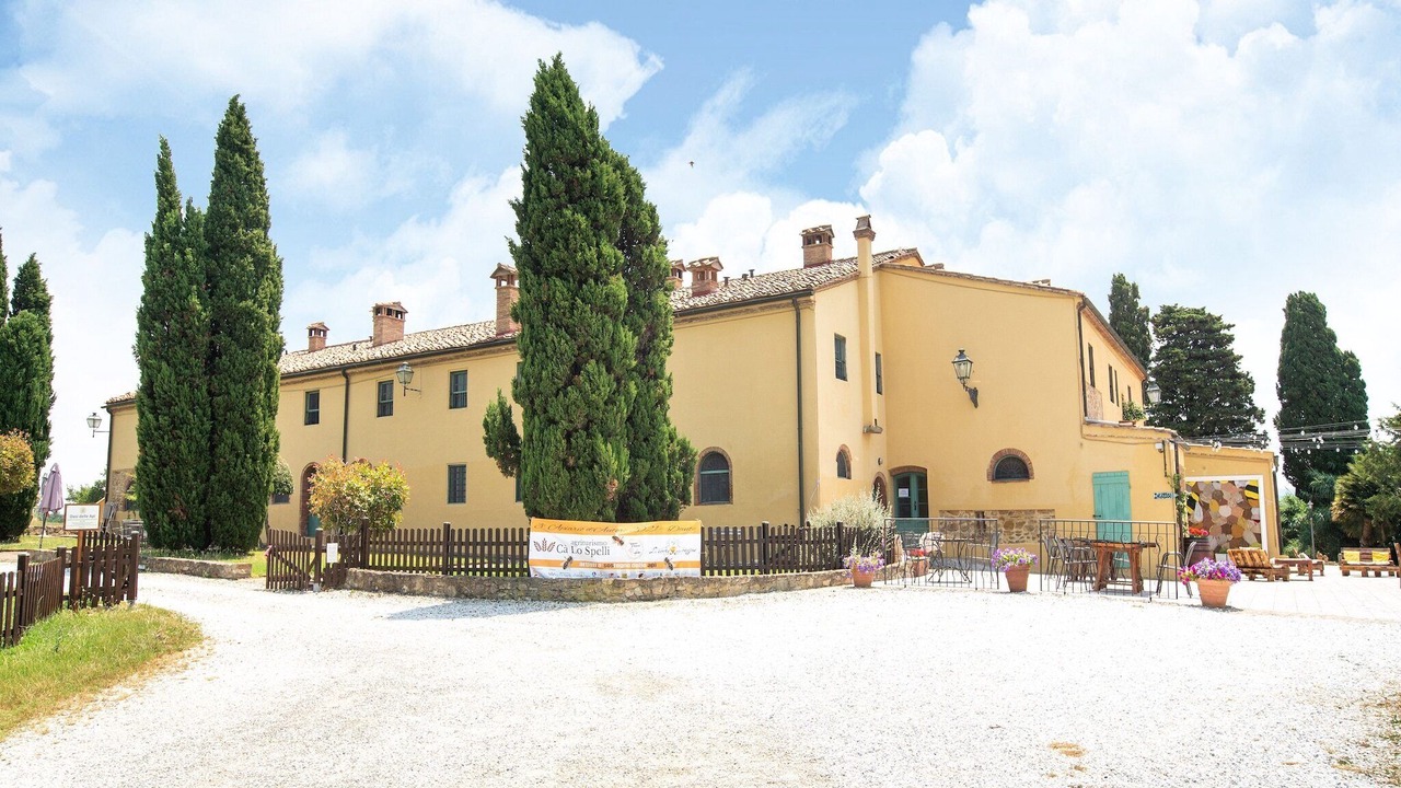 Photo of Outdoor in Collesalvetti