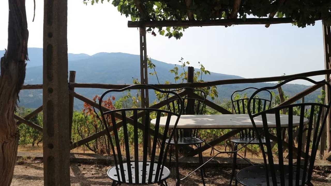 Photo of Patio Balcony in Pelago