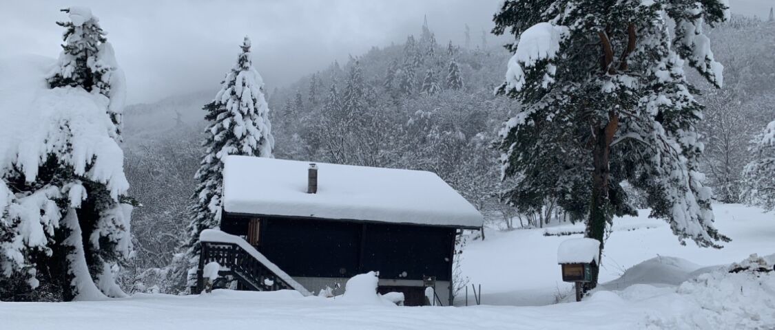 Photo of Outdoor in Saint-Paul-sur-Isere