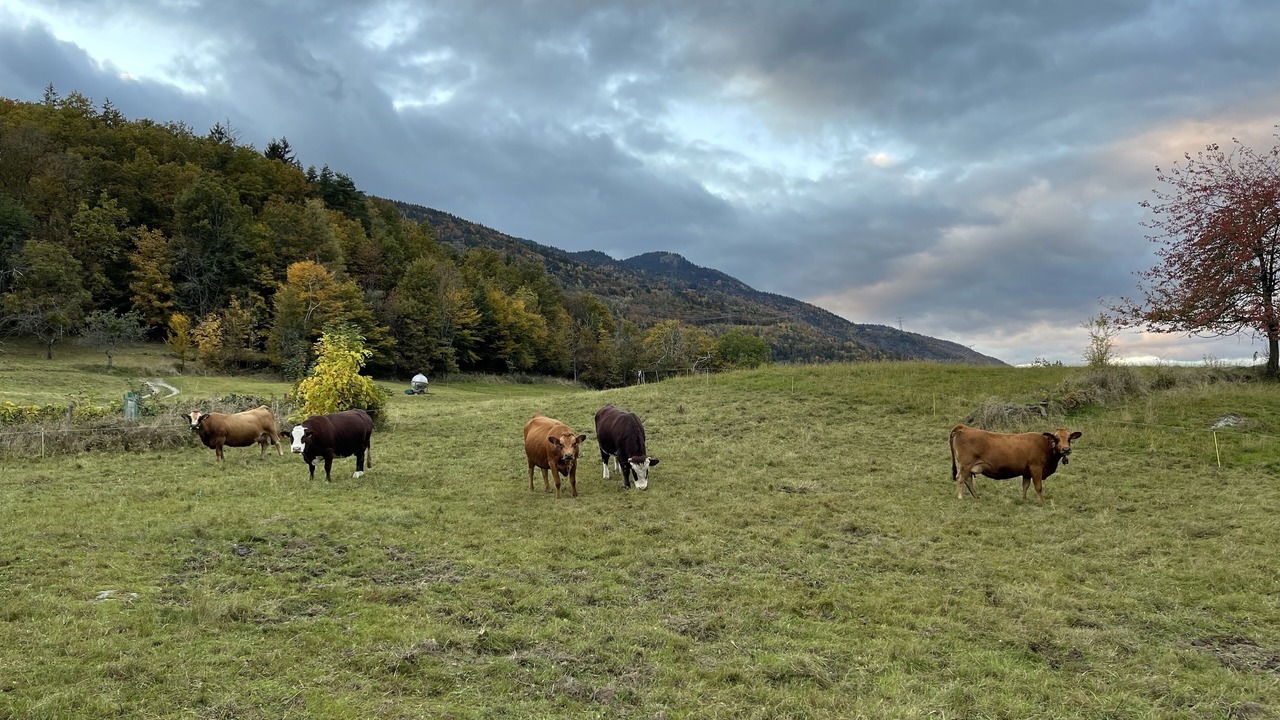 Photo of Outdoor in Saint-Paul-sur-Isere