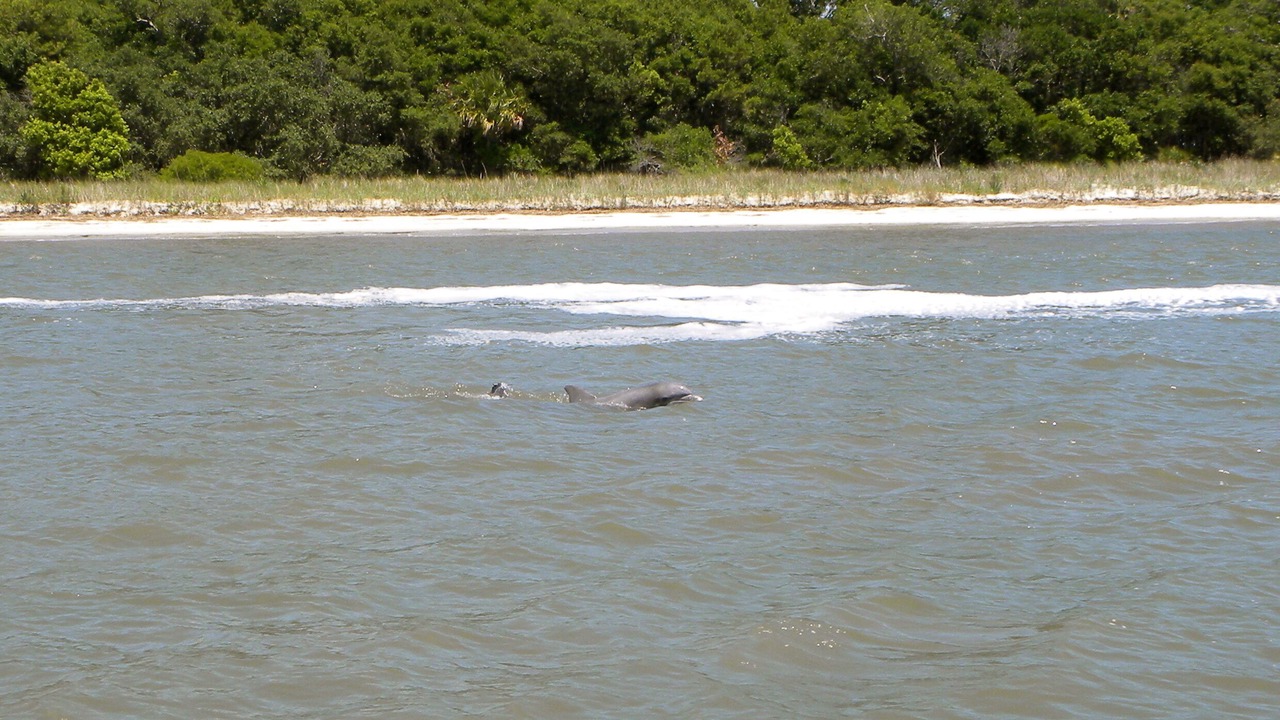 Photo of Others in Seabrook Island