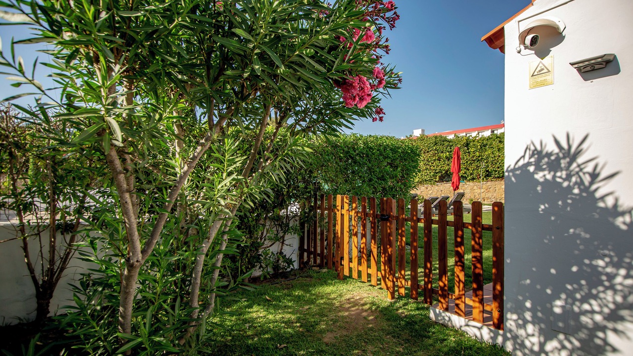 Photo of Outdoor in Areias de Sao Joao