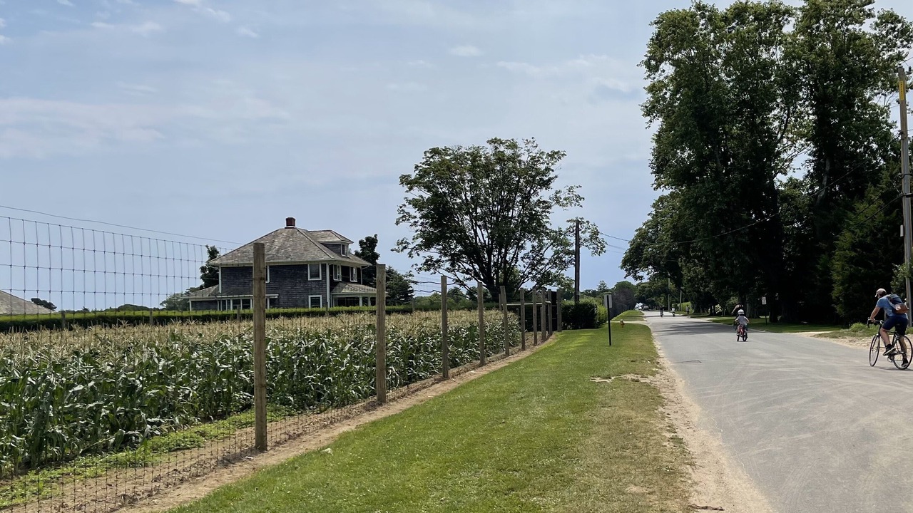 Photo of Outdoor in Wainscott