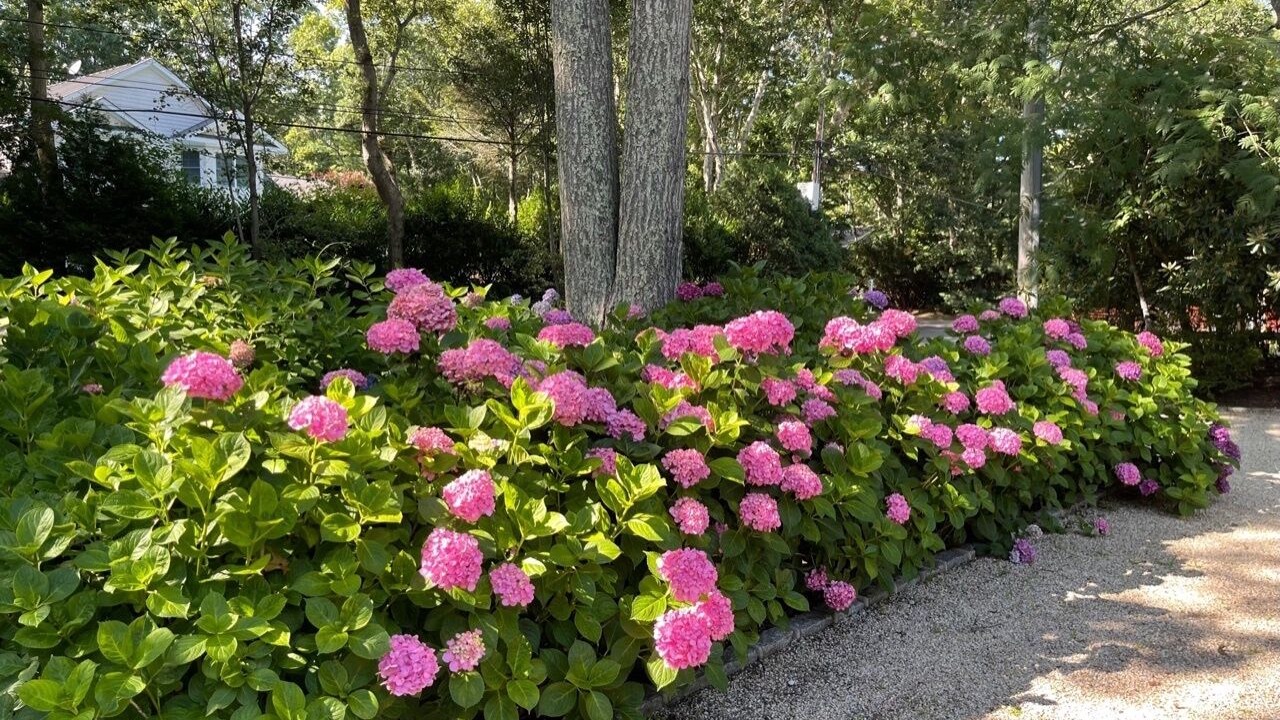 Photo of Outdoor in Wainscott