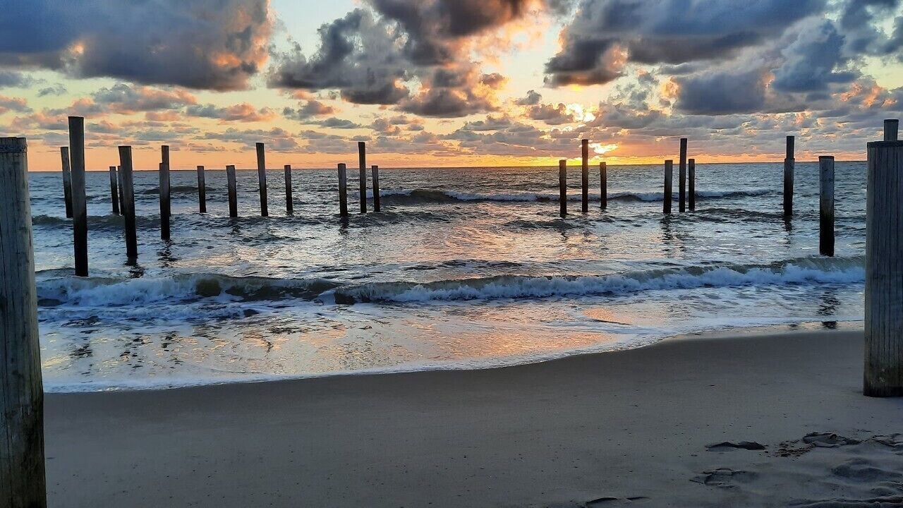 Photo of Others in Petten