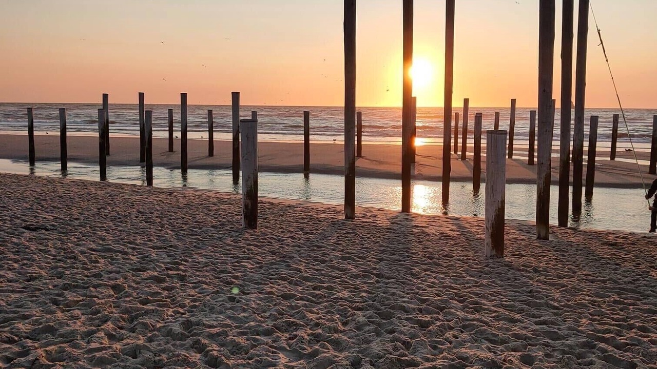 Photo of Others in Petten