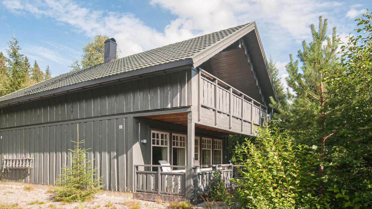 Photo of Others in Grondalen