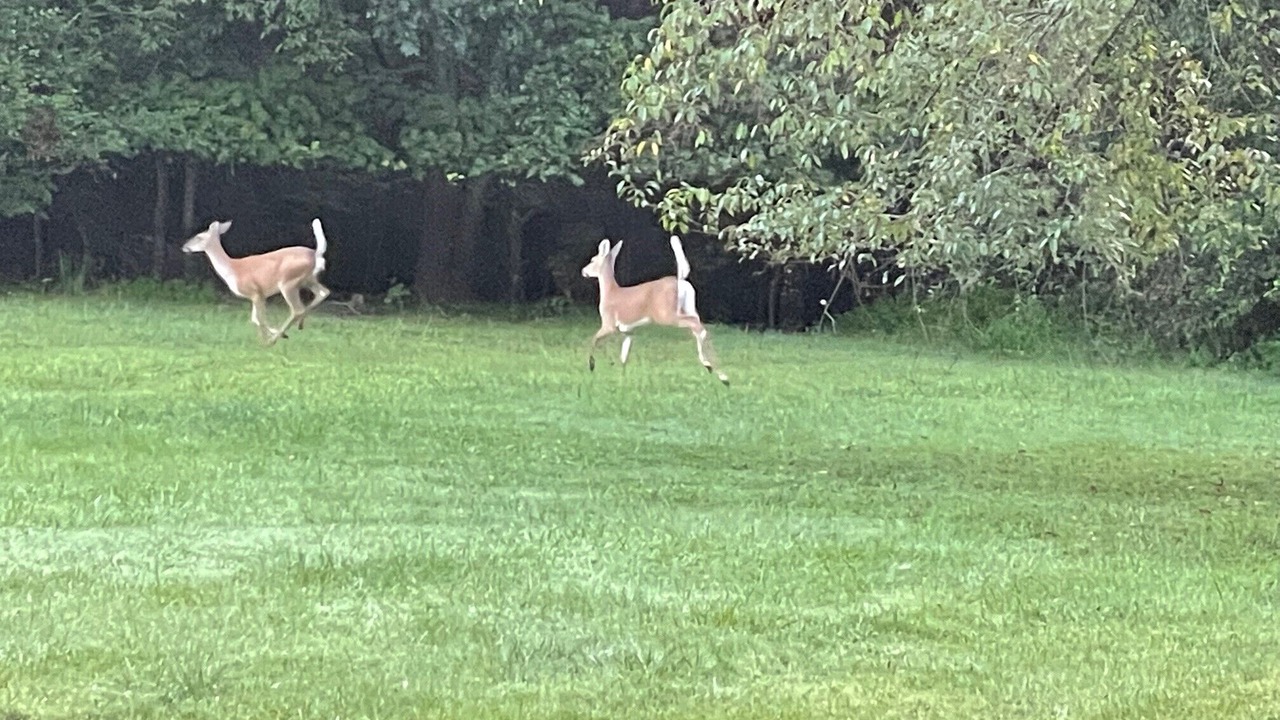 Photo of Outdoor in Jonesville