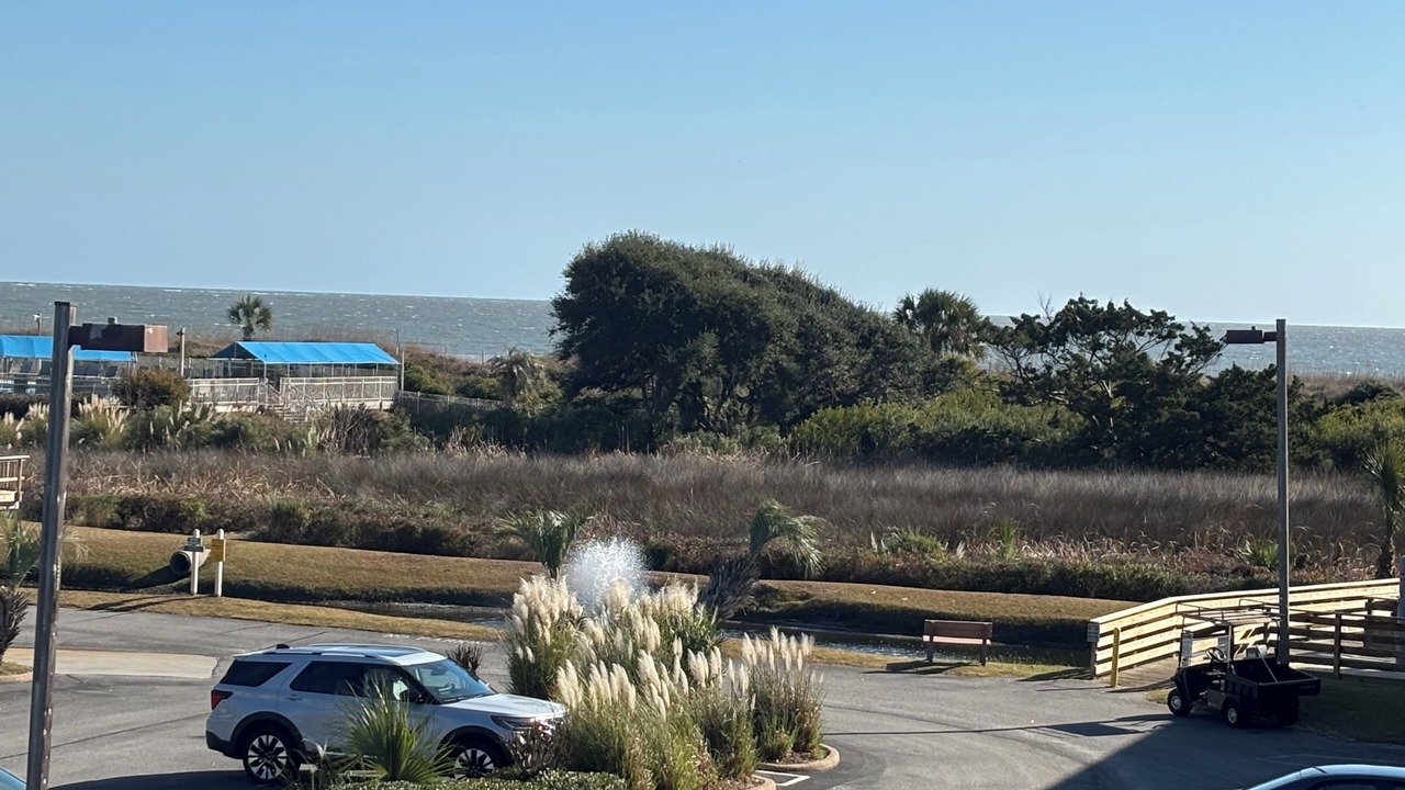 Photo of Outdoor in Folly Field