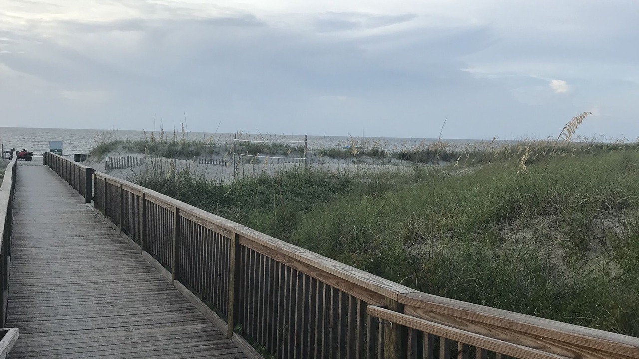 Photo of Others in Folly Field
