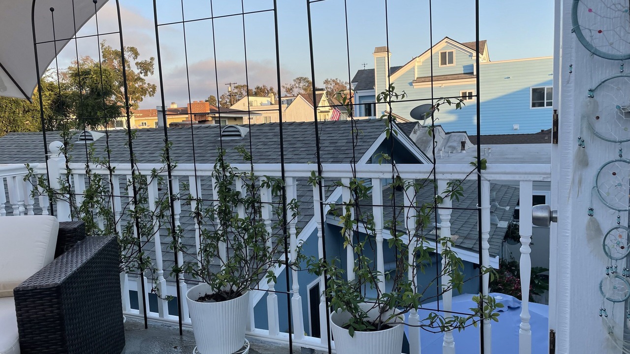 Photo of Others in Balboa Island