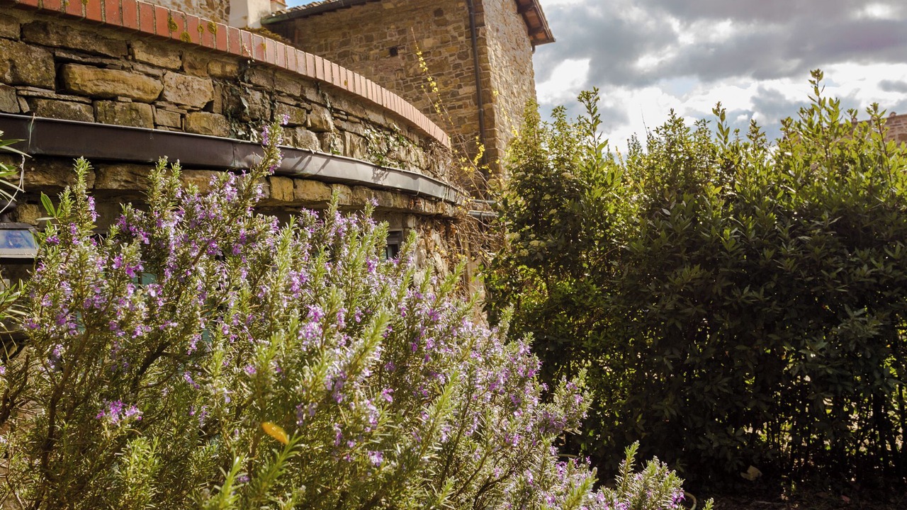 Photo of Outdoor in Fiesole