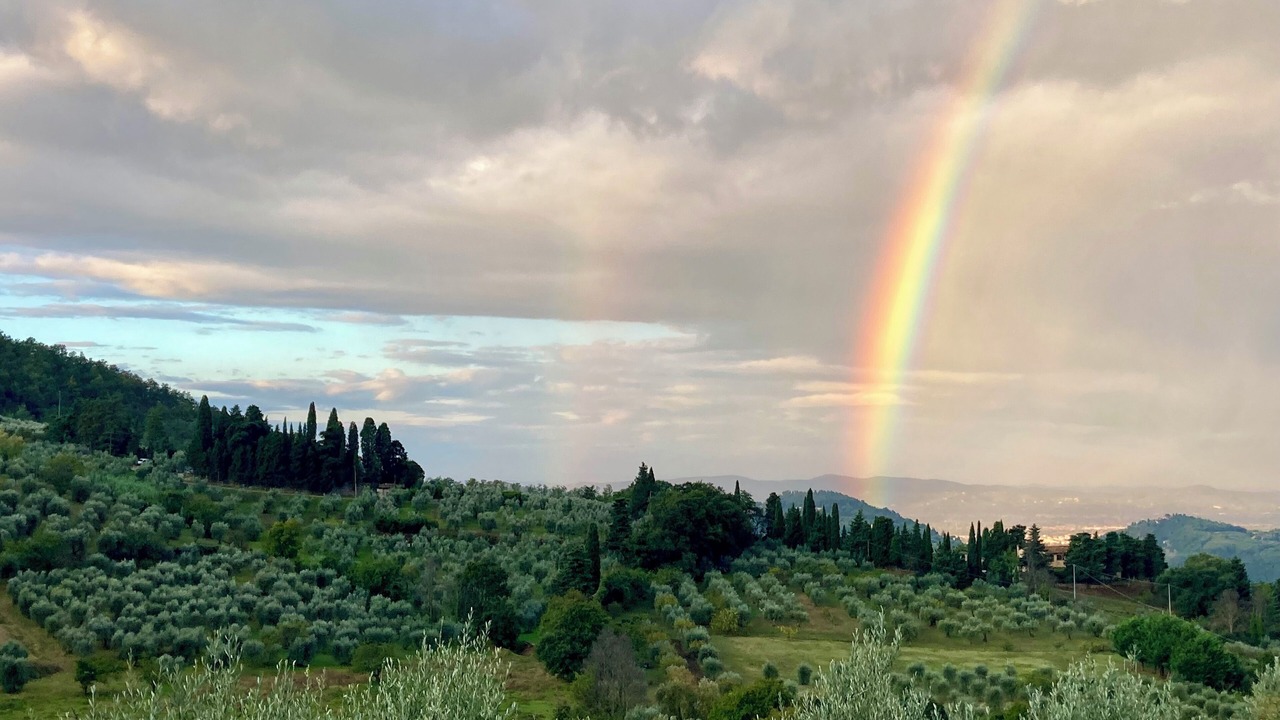Photo of Others in Fiesole