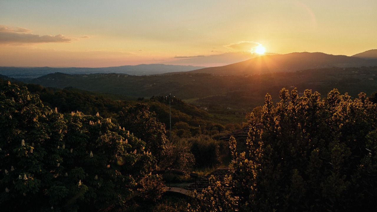 Photo of Others in Fiesole