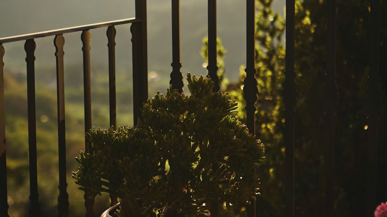 Photo of Outdoor in Fiesole