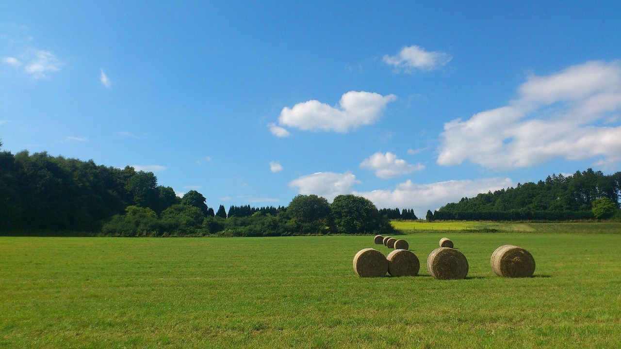 Photo of Others in Breitscheid