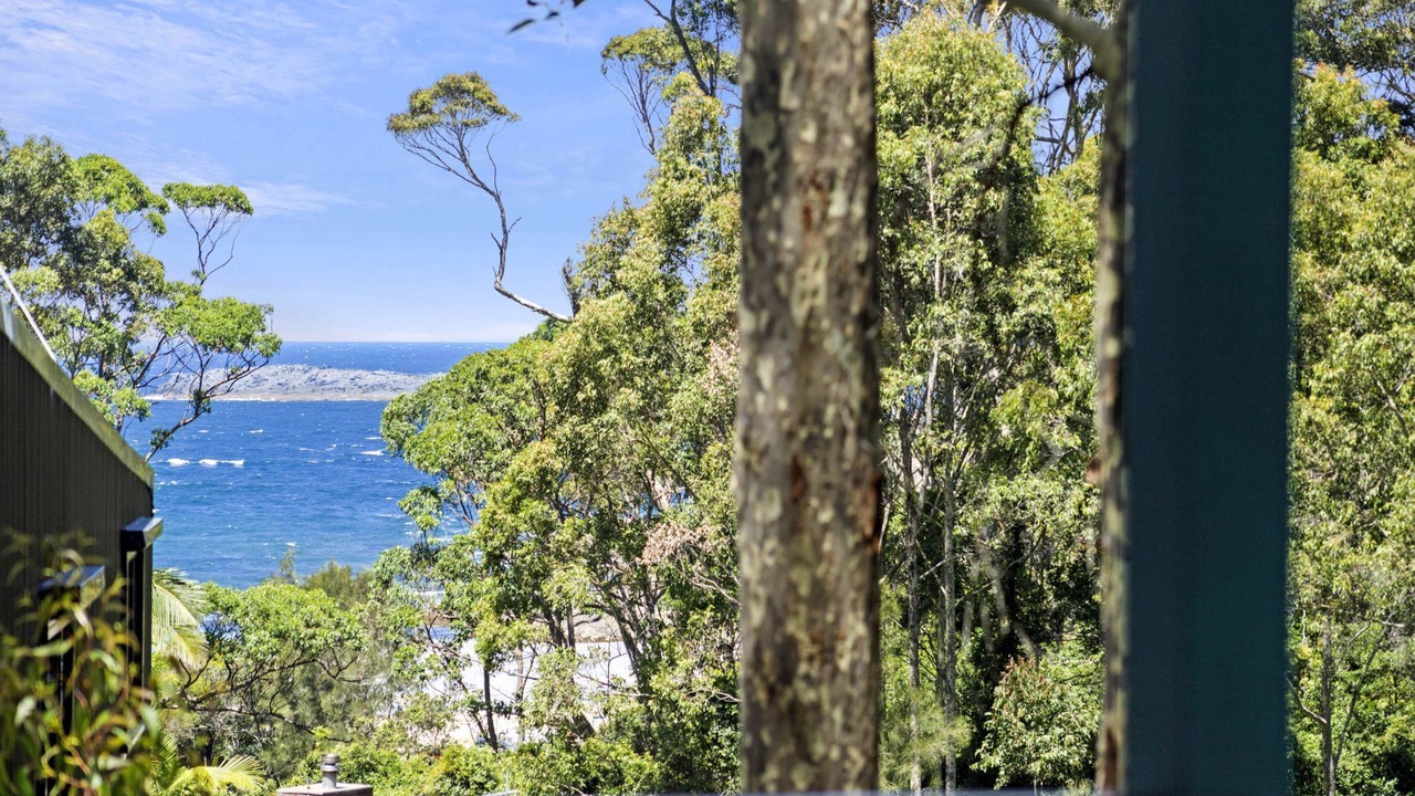 Photo of Outdoor in Lilli Pilli