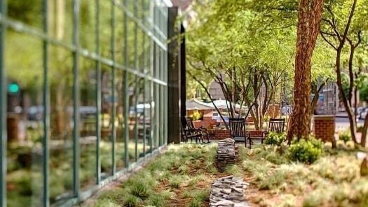 Photo of Outdoor in West End
